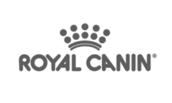 royal cann szary.jpg